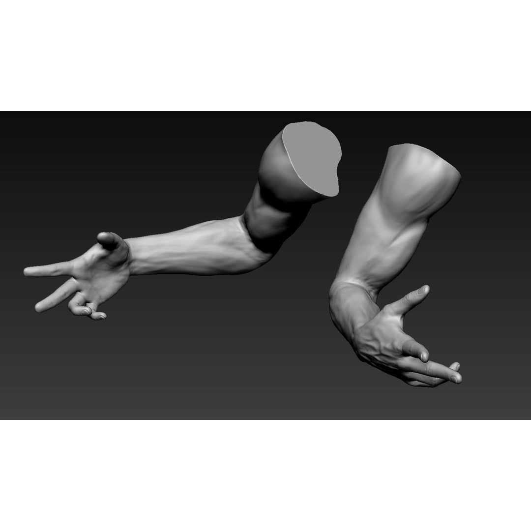Male Arms 3D Model – Anatomically Correct Poses, OBJ & ZTL Formats - View 19