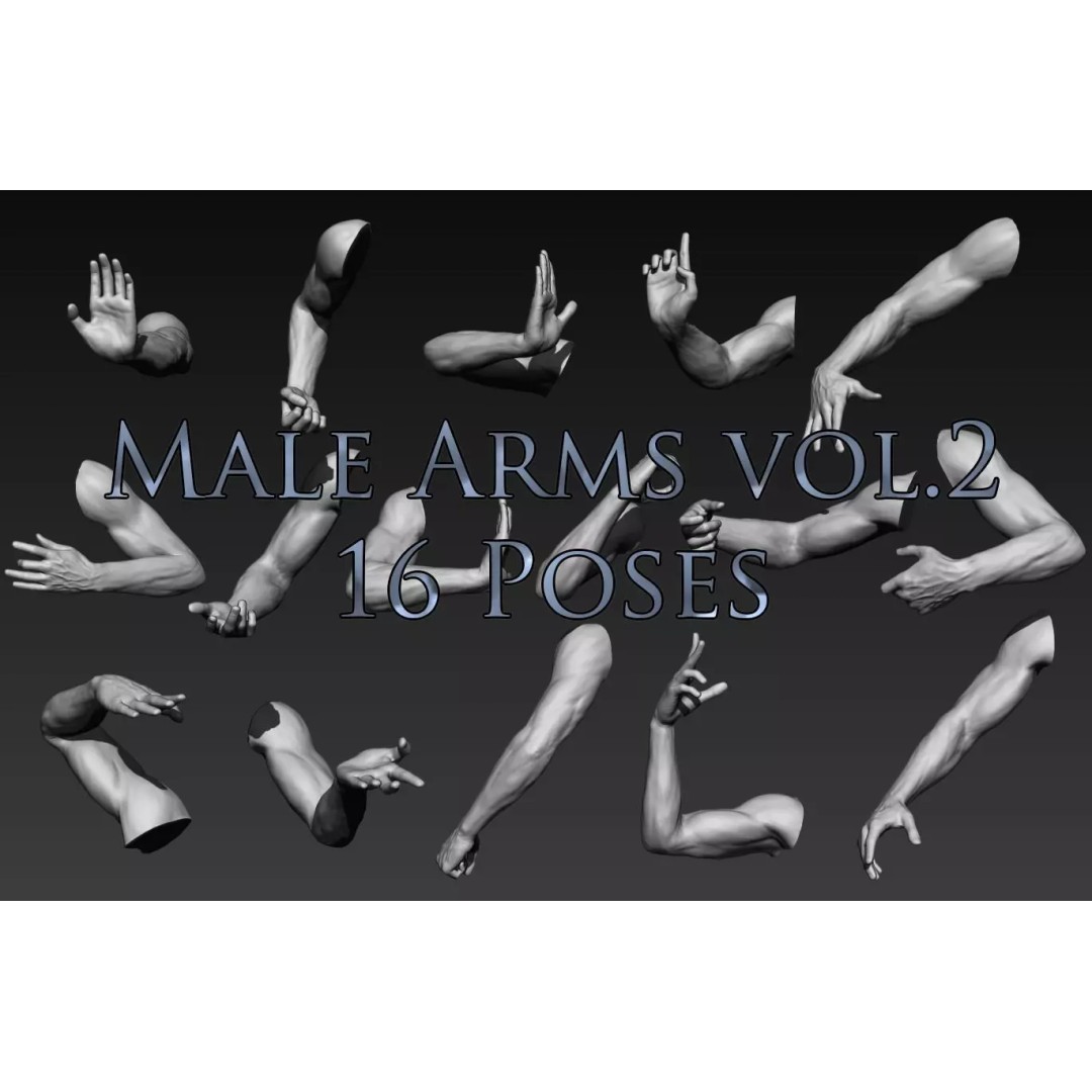 Male Arms 3D Model – Anatomically Correct Poses, OBJ & ZTL Formats - View 2