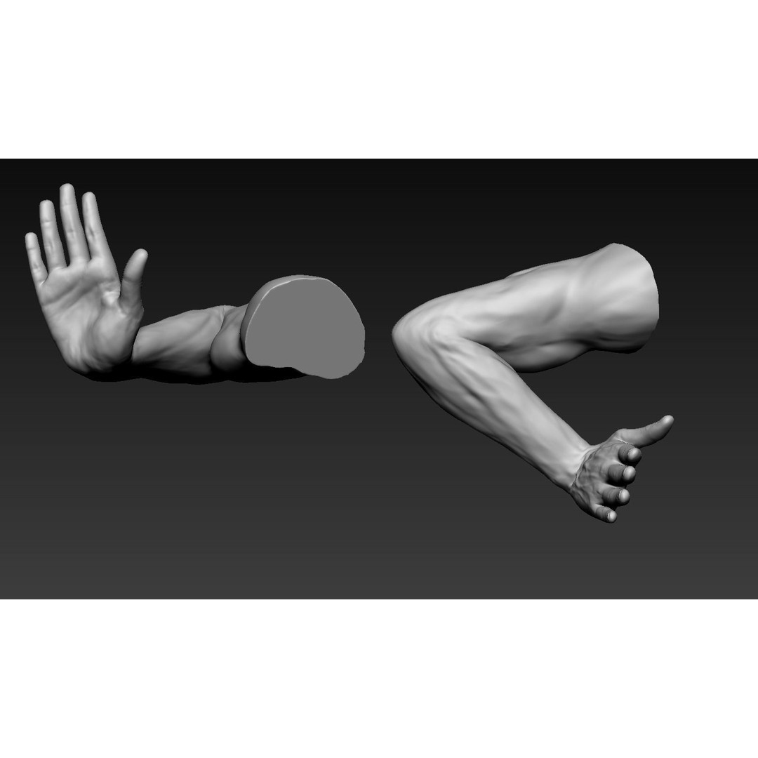 Male Arms 3D Model – Anatomically Correct Poses, OBJ & ZTL Formats - View 5