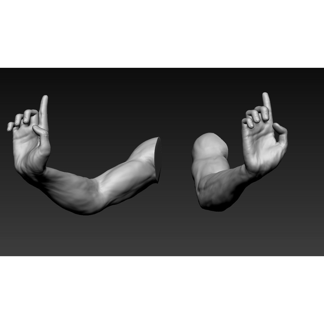Male Arms 3D Model – Anatomically Correct Poses, OBJ & ZTL Formats - View 6