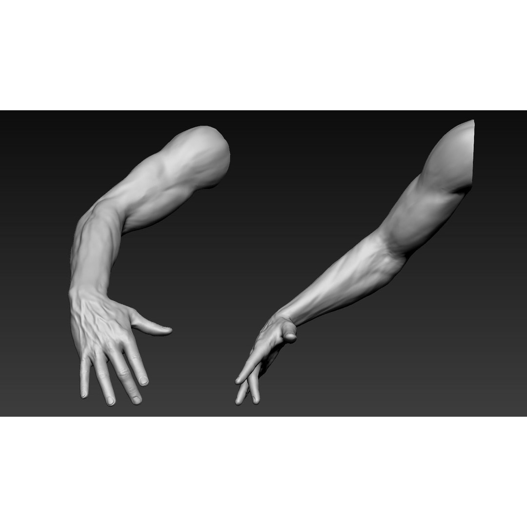Male Arms 3D Model – Anatomically Correct Poses, OBJ & ZTL Formats - View 7