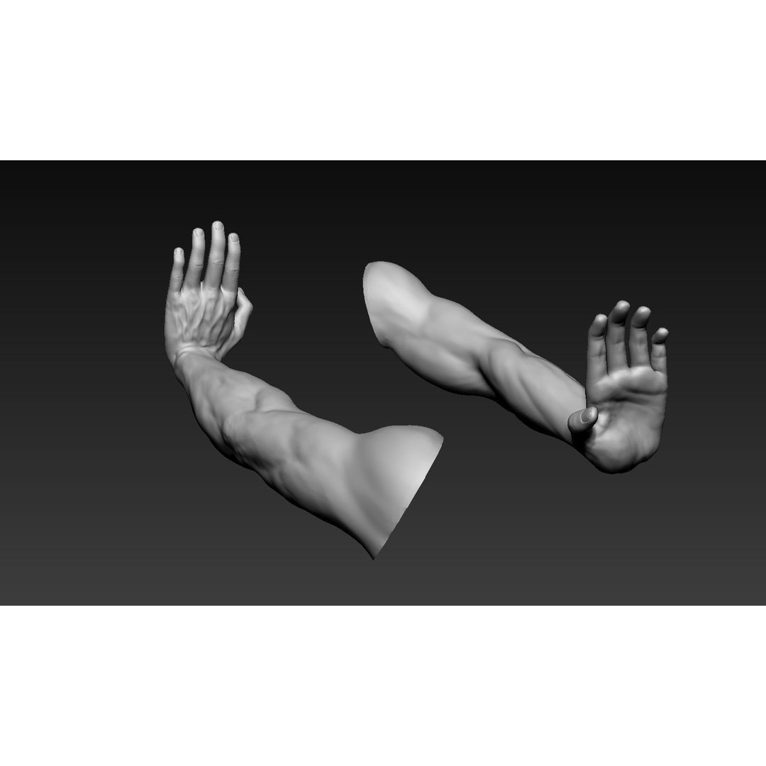 Male Arms 3D Model – Anatomically Correct Poses, OBJ & ZTL Formats - View 8