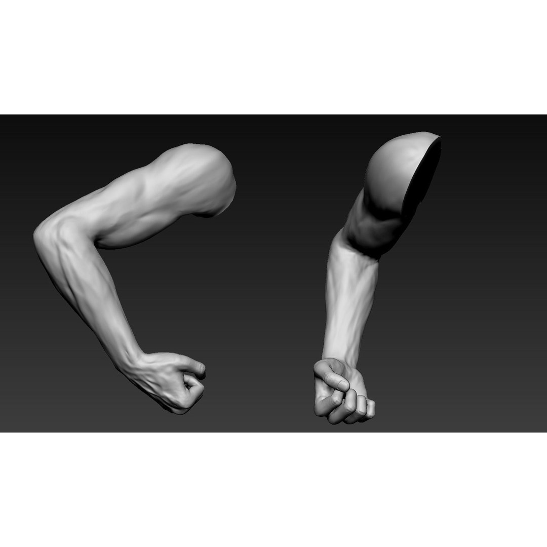 Male Arms 3D Model – Anatomically Correct Poses, OBJ & ZTL Formats - View 9