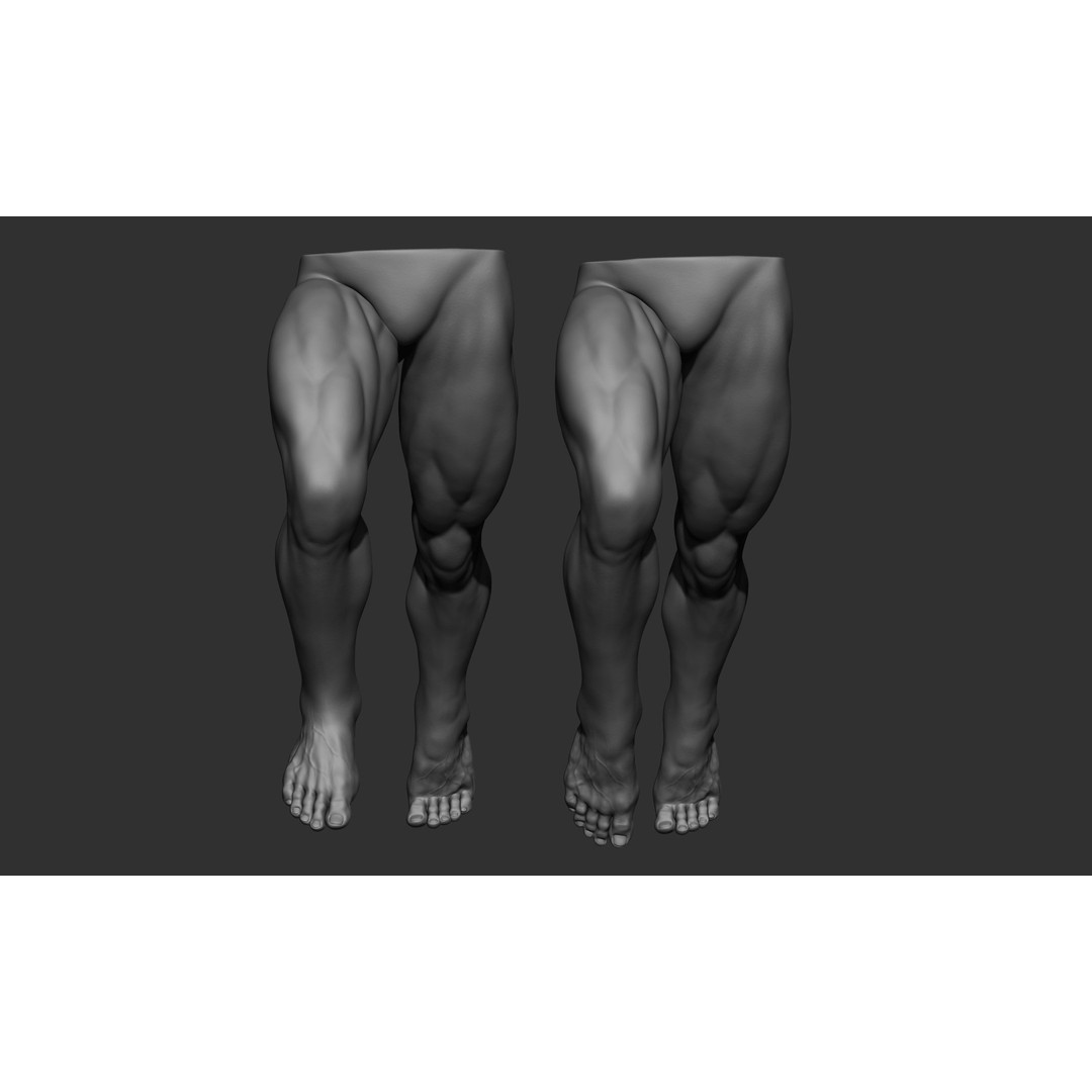 Male Leg Poses 3D Model – Realistic Anatomy Collection, ZTL & OBJ Formats - View 10