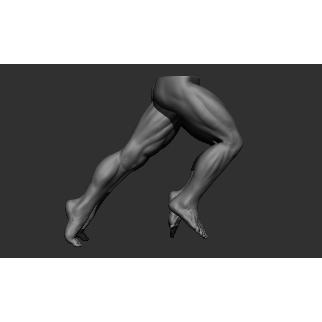 Male Leg Poses 3D Model – Realistic Anatomy Collection, ZTL & OBJ Formats - View 14