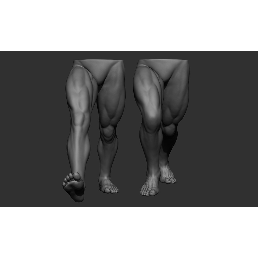 Male Leg Poses 3D Model – Realistic Anatomy Collection, ZTL & OBJ Formats - View 16