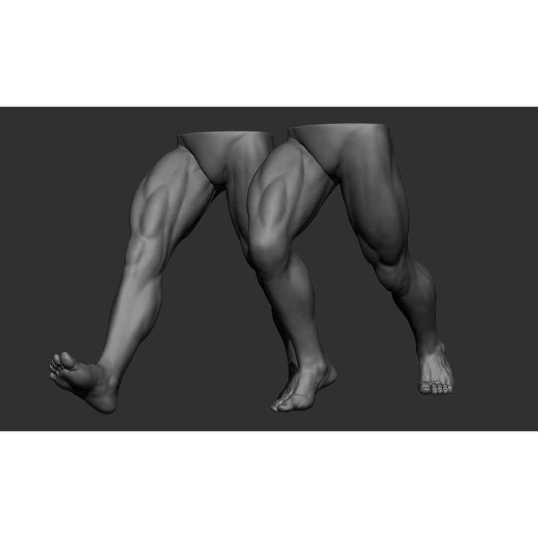 Male Leg Poses 3D Model – Realistic Anatomy Collection, ZTL & OBJ Formats - View 17