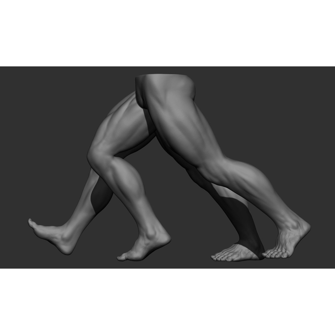 Male Leg Poses 3D Model – Realistic Anatomy Collection, ZTL & OBJ Formats - View 18