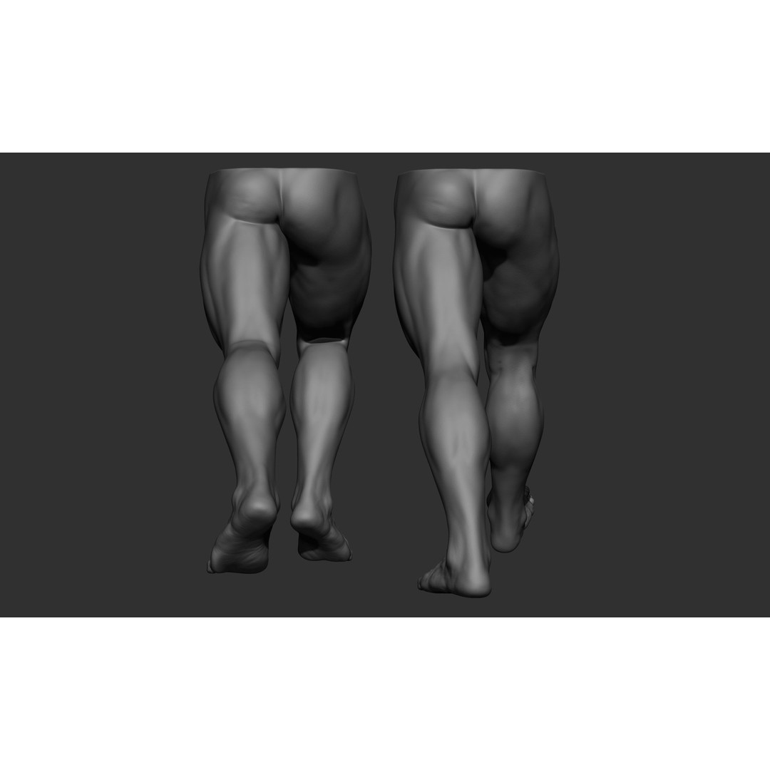 Male Leg Poses 3D Model – Realistic Anatomy Collection, ZTL & OBJ Formats - View 20