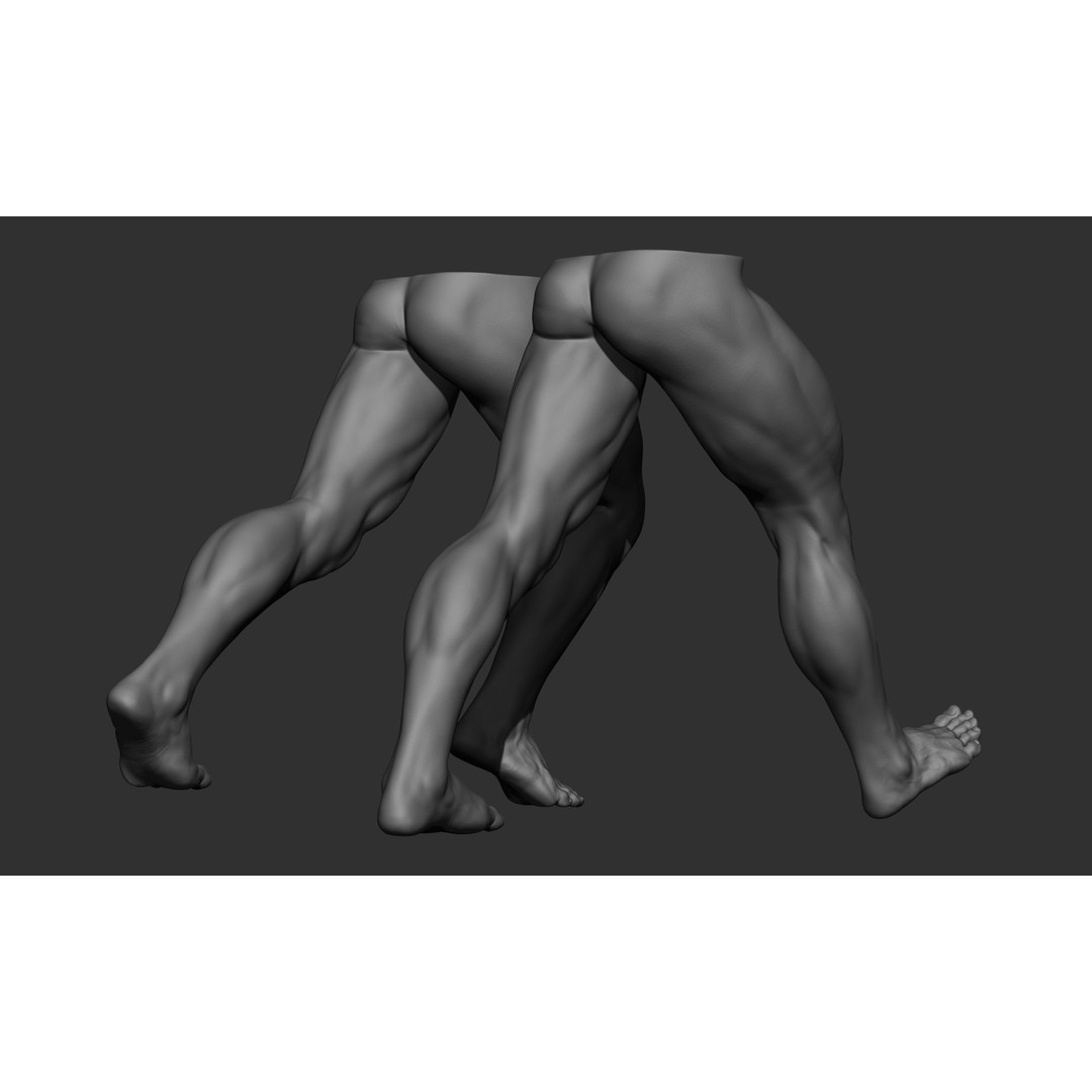 Male Leg Poses 3D Model – Realistic Anatomy Collection, ZTL & OBJ Formats - View 21