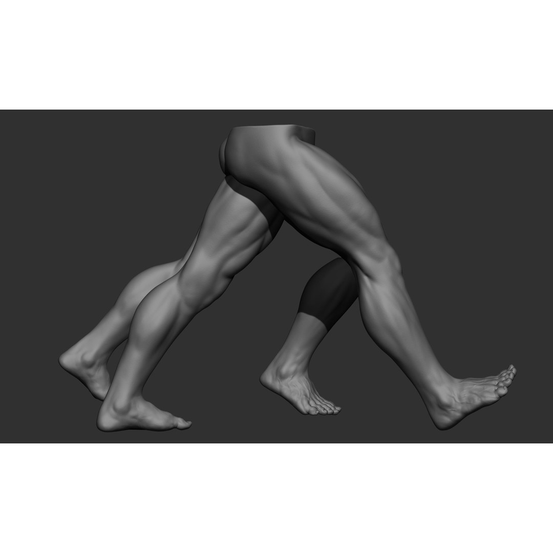 Male Leg Poses 3D Model – Realistic Anatomy Collection, ZTL & OBJ Formats - View 22