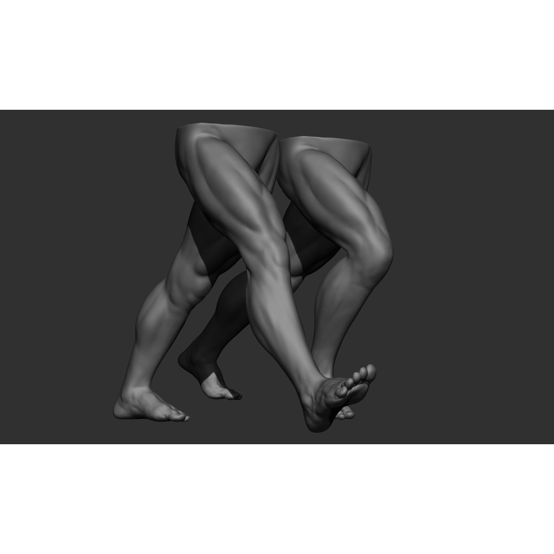 Male Leg Poses 3D Model – Realistic Anatomy Collection, ZTL & OBJ Formats - View 23