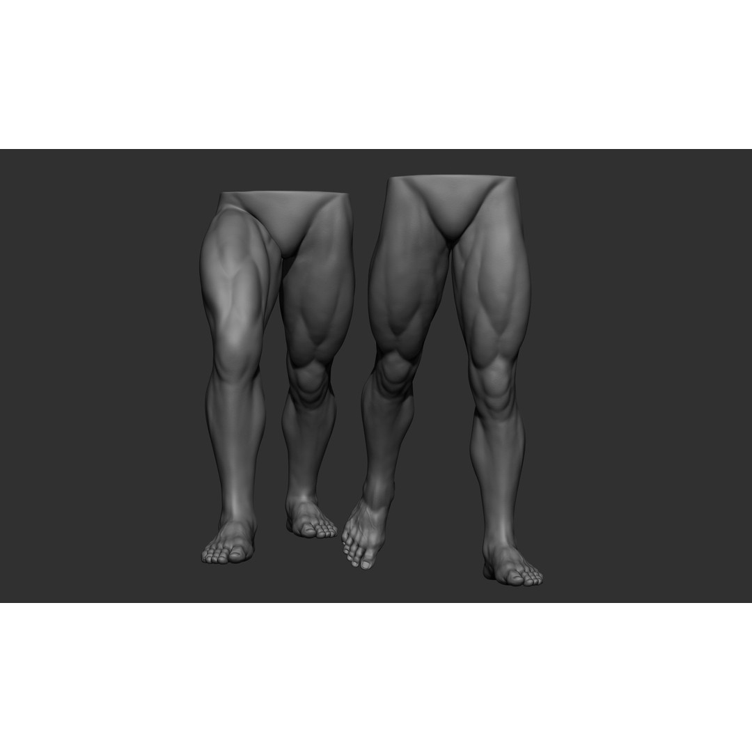 Male Leg Poses 3D Model – Realistic Anatomy Collection, ZTL & OBJ Formats - View 24