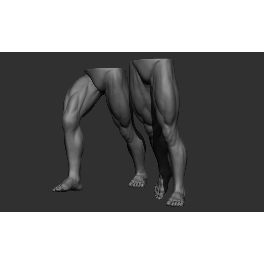 Male Leg Poses 3D Model – Realistic Anatomy Collection, ZTL & OBJ Formats - View 25