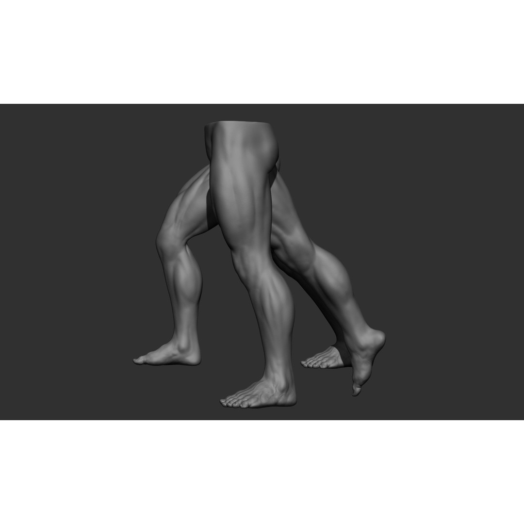 Male Leg Poses 3D Model – Realistic Anatomy Collection, ZTL & OBJ Formats - View 26