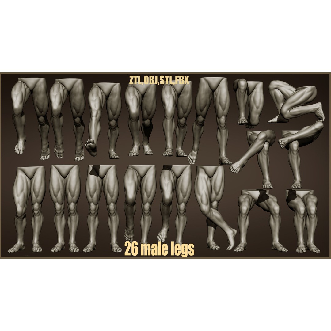 Male Leg Poses 3D Model – Realistic Anatomy Collection, ZTL & OBJ Formats - View 3