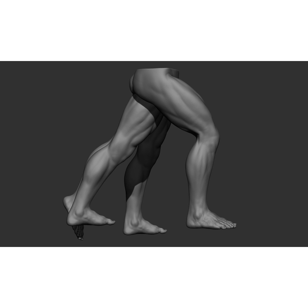Male Leg Poses 3D Model – Realistic Anatomy Collection, ZTL & OBJ Formats - View 30