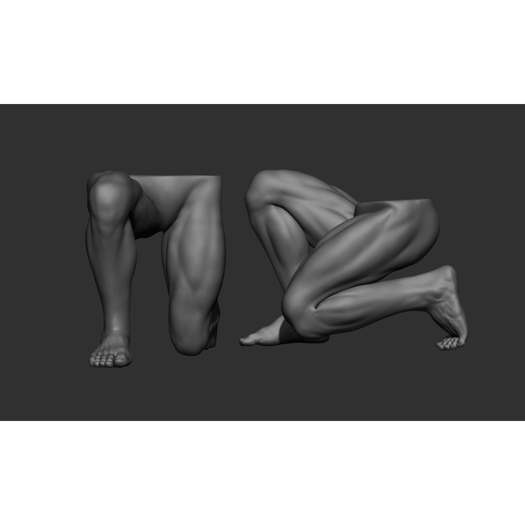 Male Leg Poses 3D Model – Realistic Anatomy Collection, ZTL & OBJ Formats - View 32