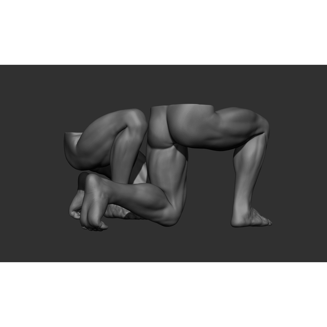 Male Leg Poses 3D Model – Realistic Anatomy Collection, ZTL & OBJ Formats - View 34