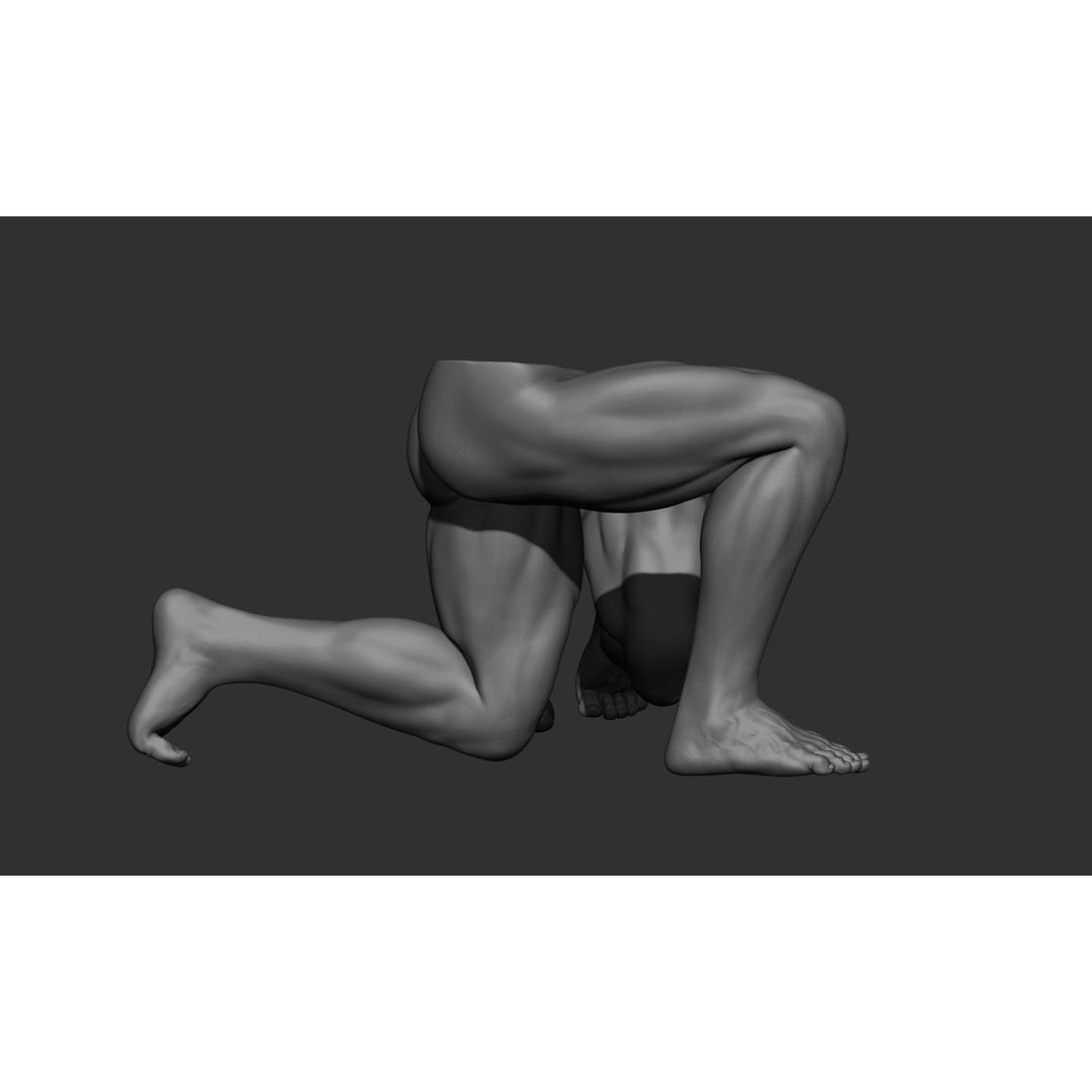 Male Leg Poses 3D Model – Realistic Anatomy Collection, ZTL & OBJ Formats - View 35
