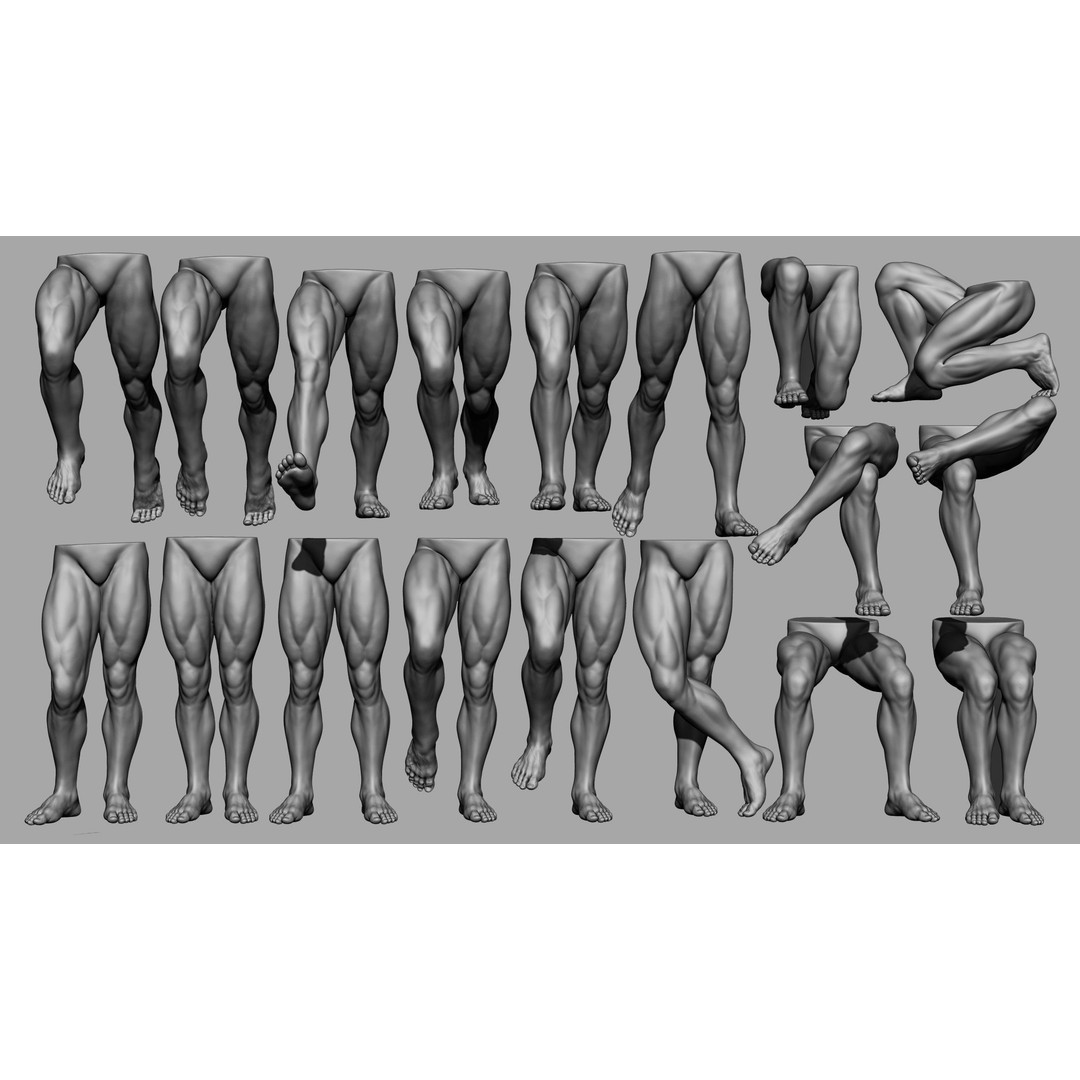 Male Leg Poses 3D Model – Realistic Anatomy Collection, ZTL & OBJ Formats - View 4