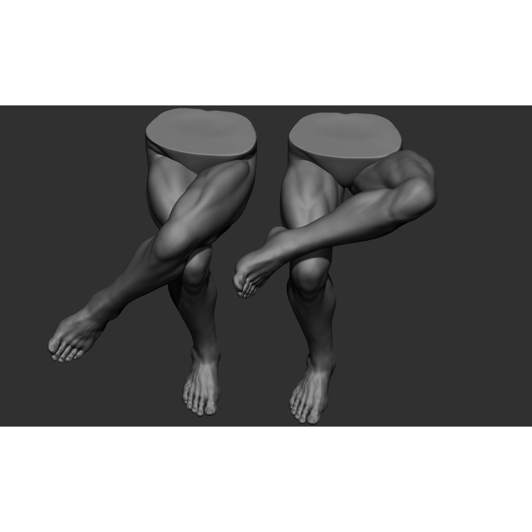 Male Leg Poses 3D Model – Realistic Anatomy Collection, ZTL & OBJ Formats - View 42