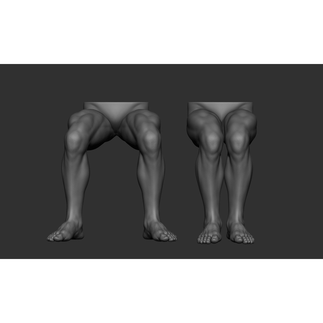 Male Leg Poses 3D Model – Realistic Anatomy Collection, ZTL & OBJ Formats - View 43