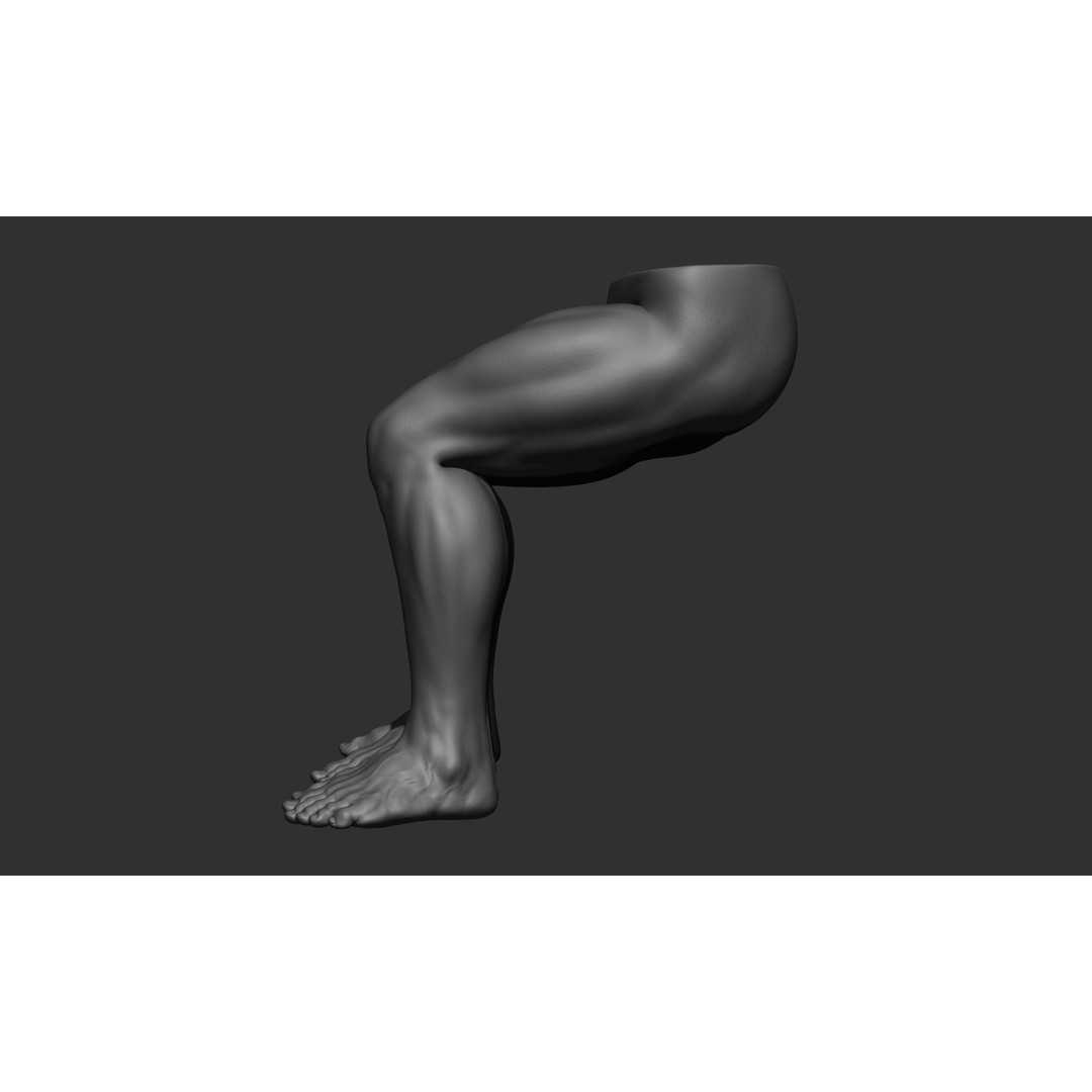 Male Leg Poses 3D Model – Realistic Anatomy Collection, ZTL & OBJ Formats - View 45