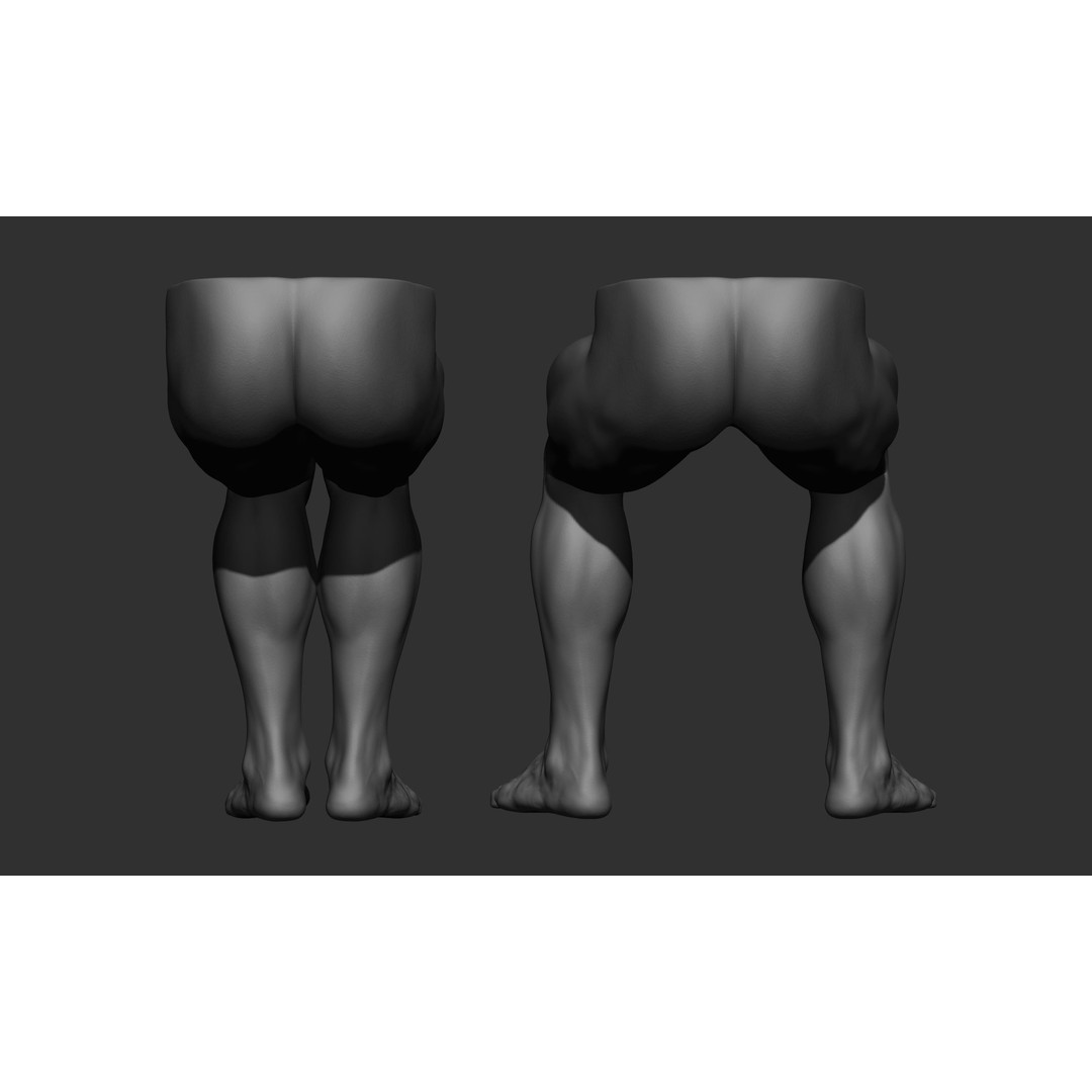 Male Leg Poses 3D Model – Realistic Anatomy Collection, ZTL & OBJ Formats - View 46