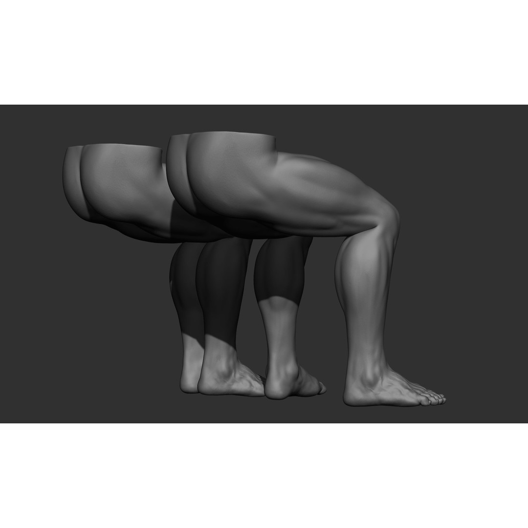 Male Leg Poses 3D Model – Realistic Anatomy Collection, ZTL & OBJ Formats - View 47