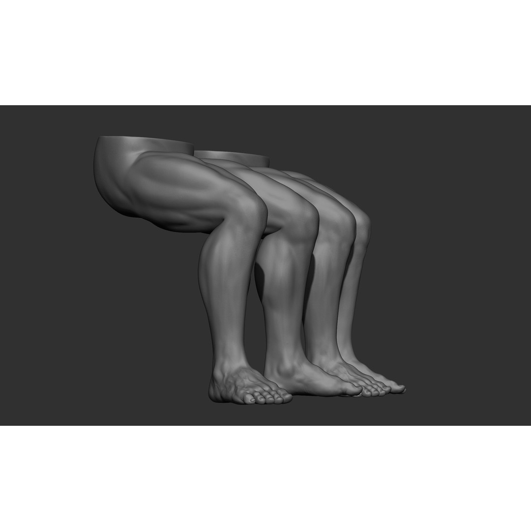 Male Leg Poses 3D Model – Realistic Anatomy Collection, ZTL & OBJ Formats - View 48
