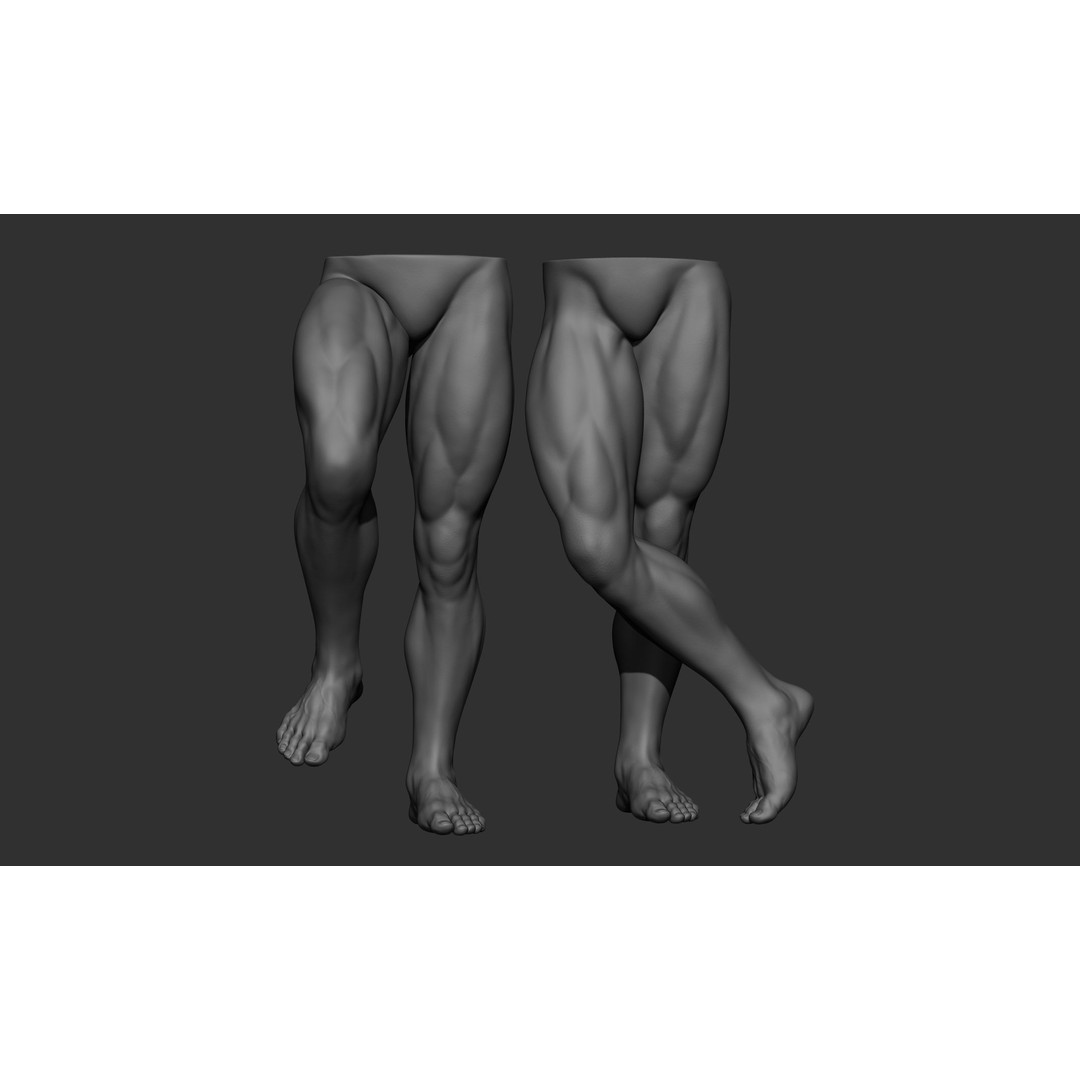 Male Leg Poses 3D Model – Realistic Anatomy Collection, ZTL & OBJ Formats - View 50