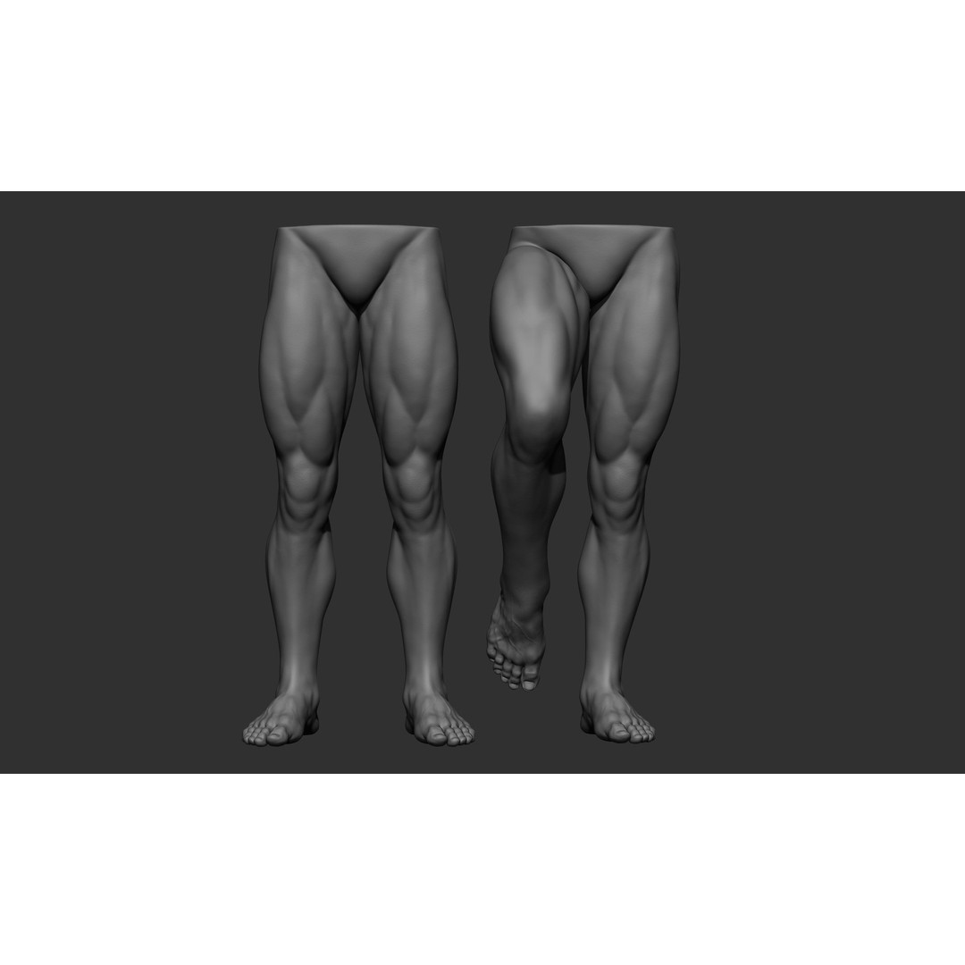 Male Leg Poses 3D Model – Realistic Anatomy Collection, ZTL & OBJ Formats - View 51