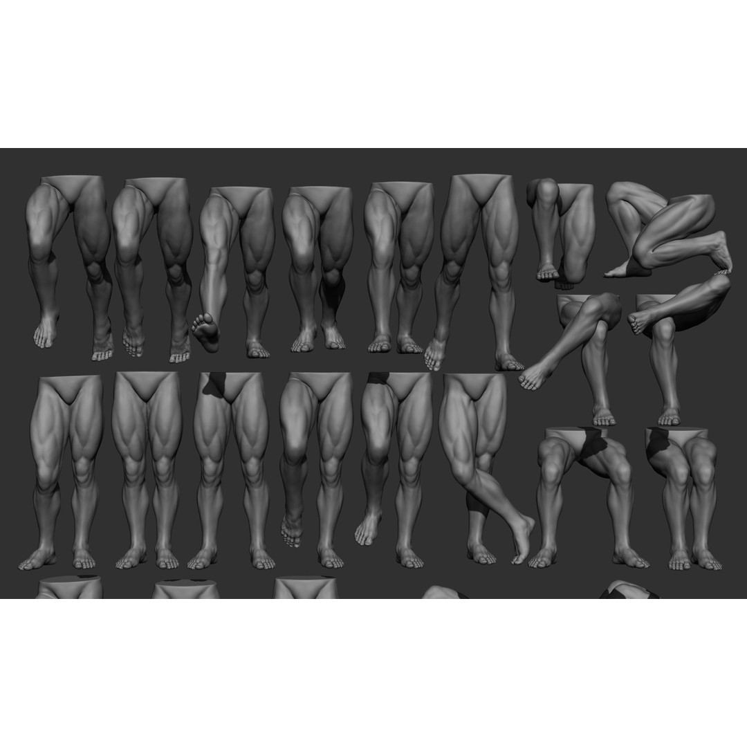 Male Leg Poses 3D Model – Realistic Anatomy Collection, ZTL & OBJ Formats - View 6