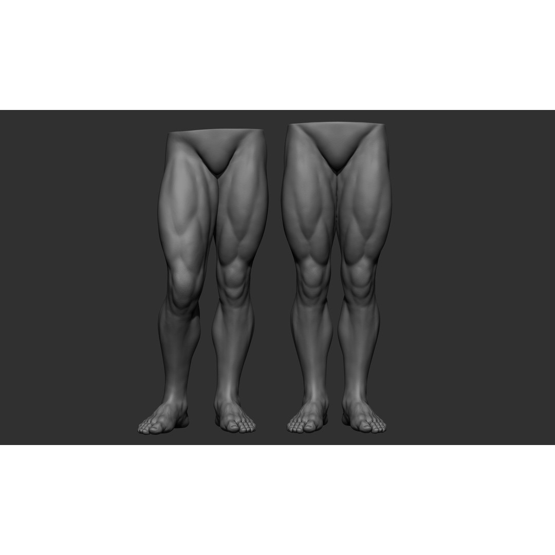 Male Leg Poses 3D Model – Realistic Anatomy Collection, ZTL & OBJ Formats - View 60