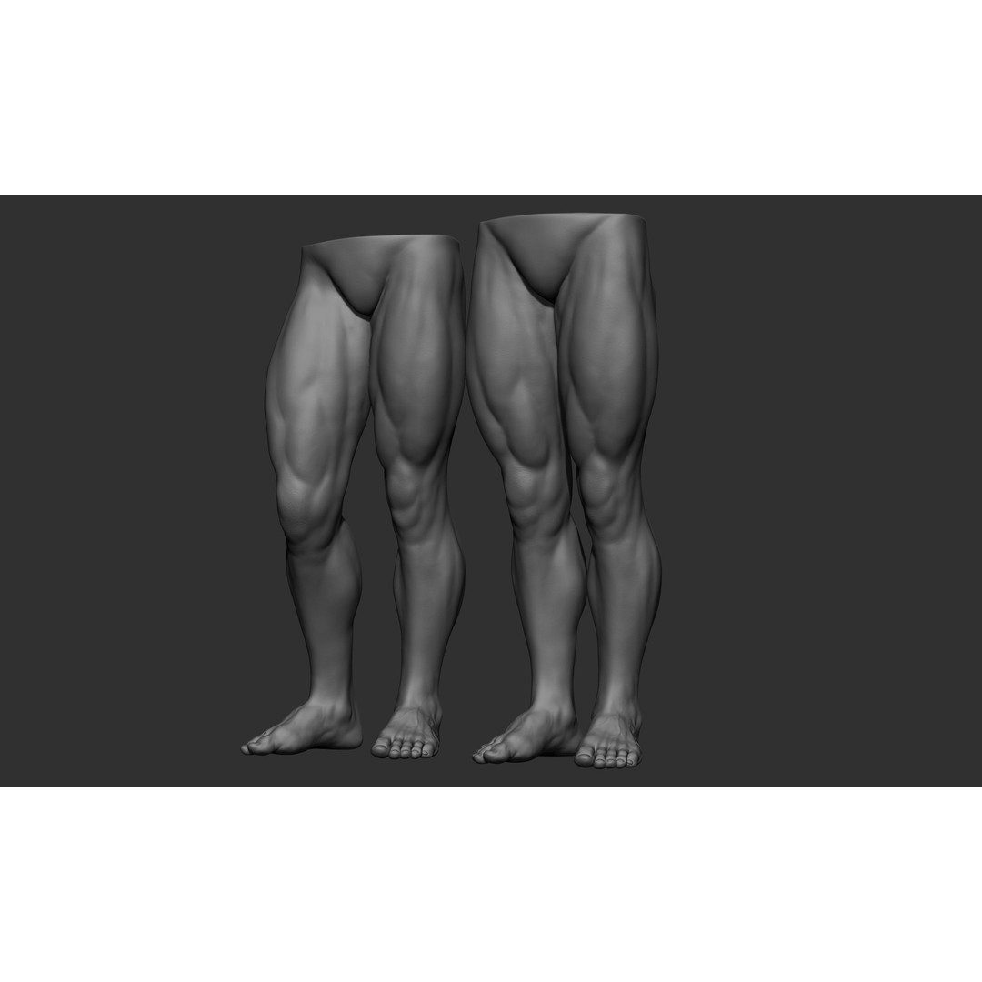 Male Leg Poses 3D Model – Realistic Anatomy Collection, ZTL & OBJ Formats - View 61