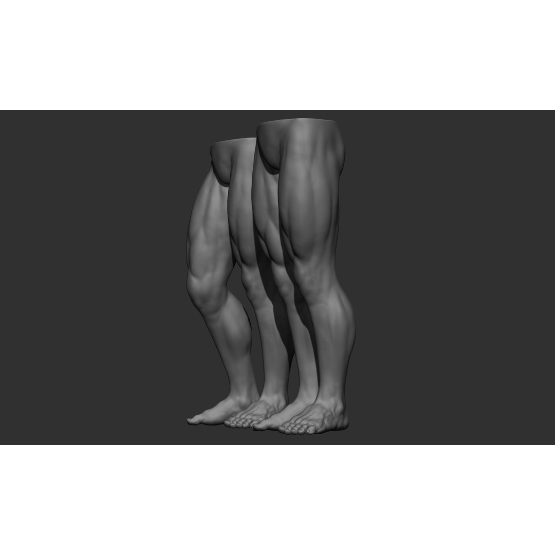 Male Leg Poses 3D Model – Realistic Anatomy Collection, ZTL & OBJ Formats - View 62