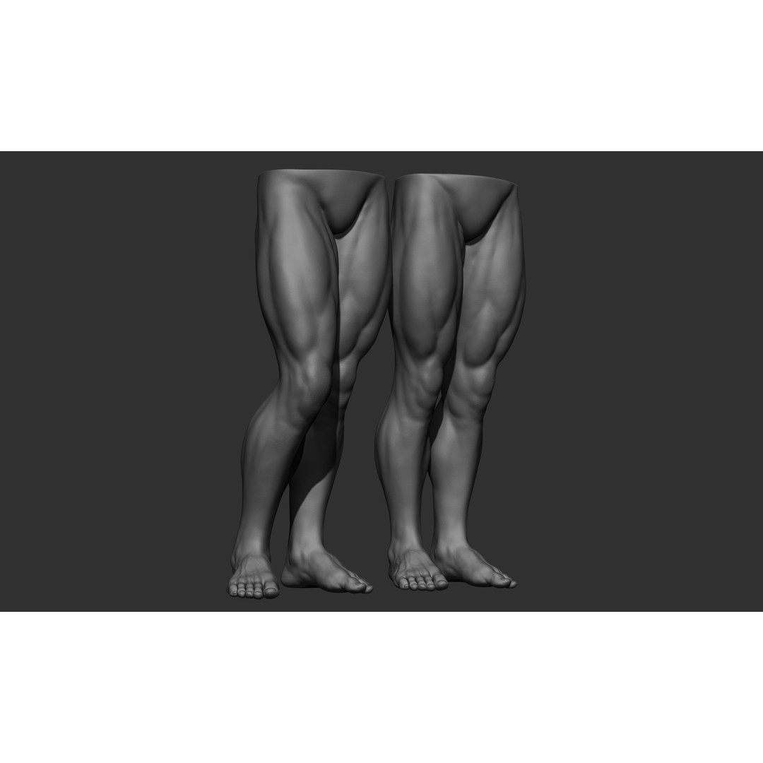 Male Leg Poses 3D Model – Realistic Anatomy Collection, ZTL & OBJ Formats - View 68