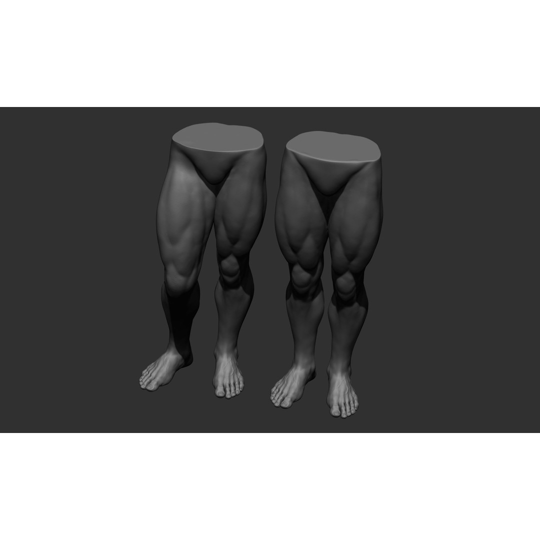 Male Leg Poses 3D Model – Realistic Anatomy Collection, ZTL & OBJ Formats - View 69