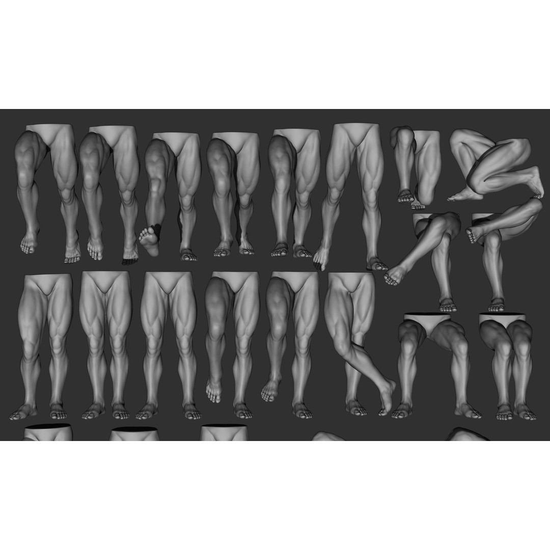 Male Leg Poses 3D Model – Realistic Anatomy Collection, ZTL & OBJ Formats - View 7