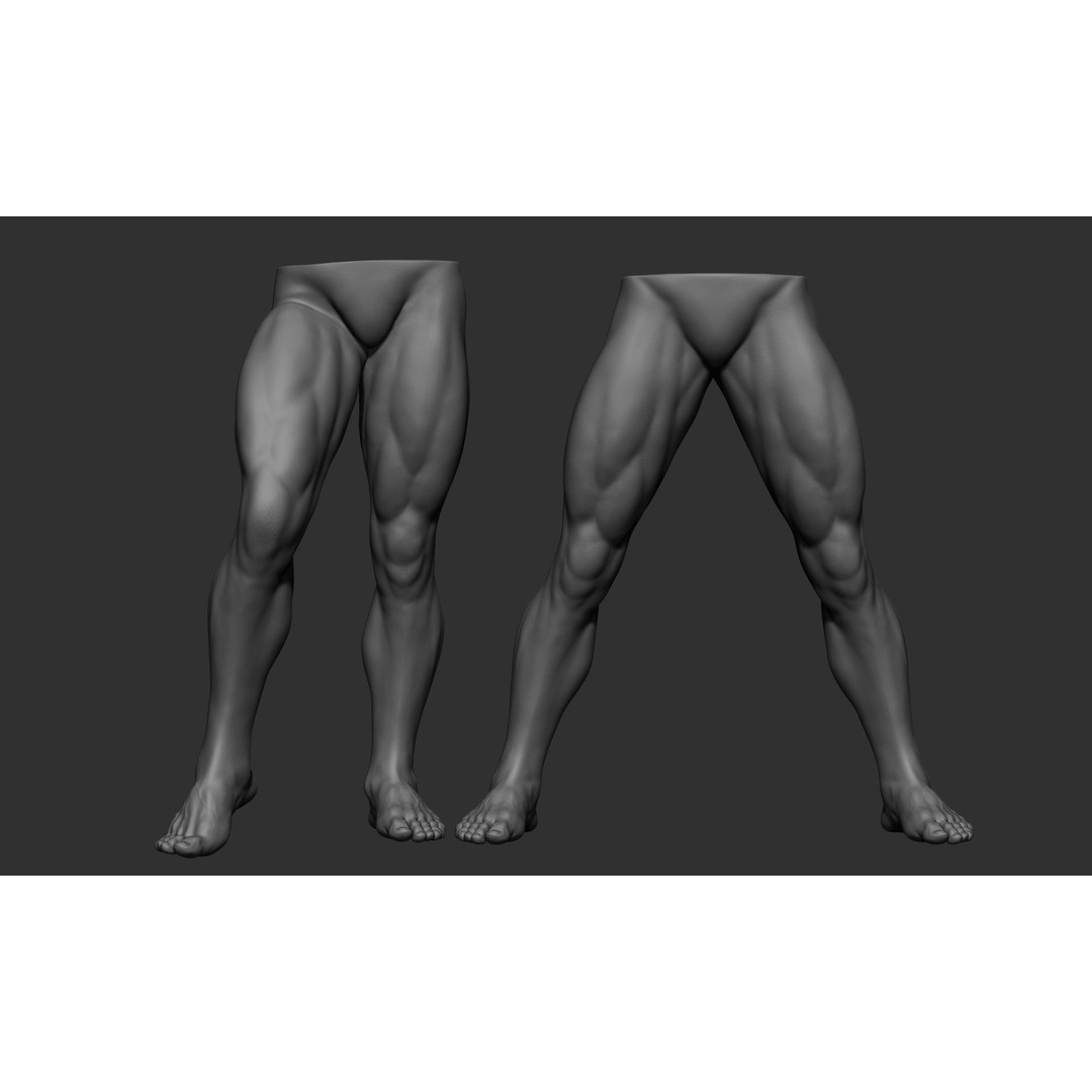 Male Leg Poses 3D Model – Realistic Anatomy Collection, ZTL & OBJ Formats - View 70