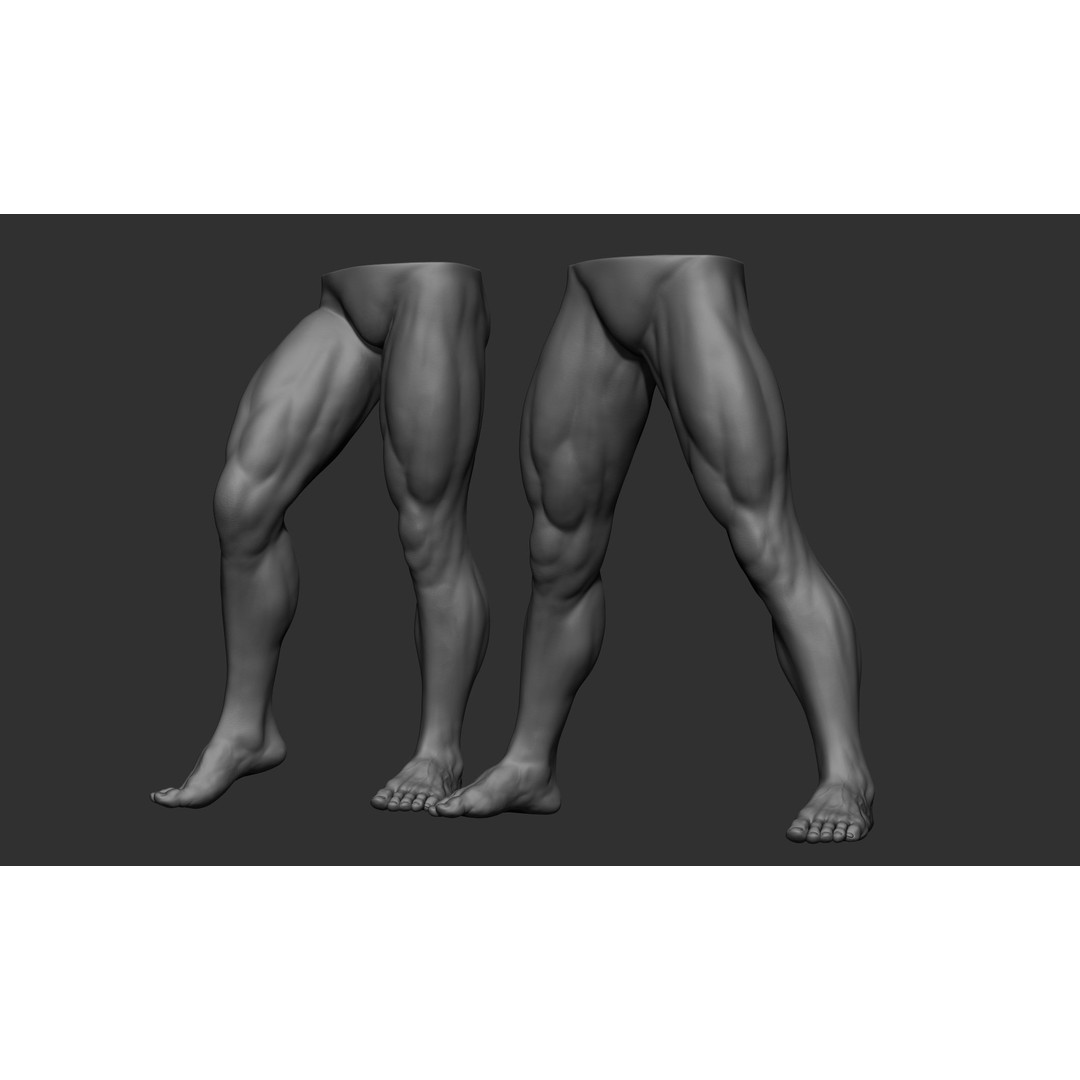 Male Leg Poses 3D Model – Realistic Anatomy Collection, ZTL & OBJ Formats - View 71