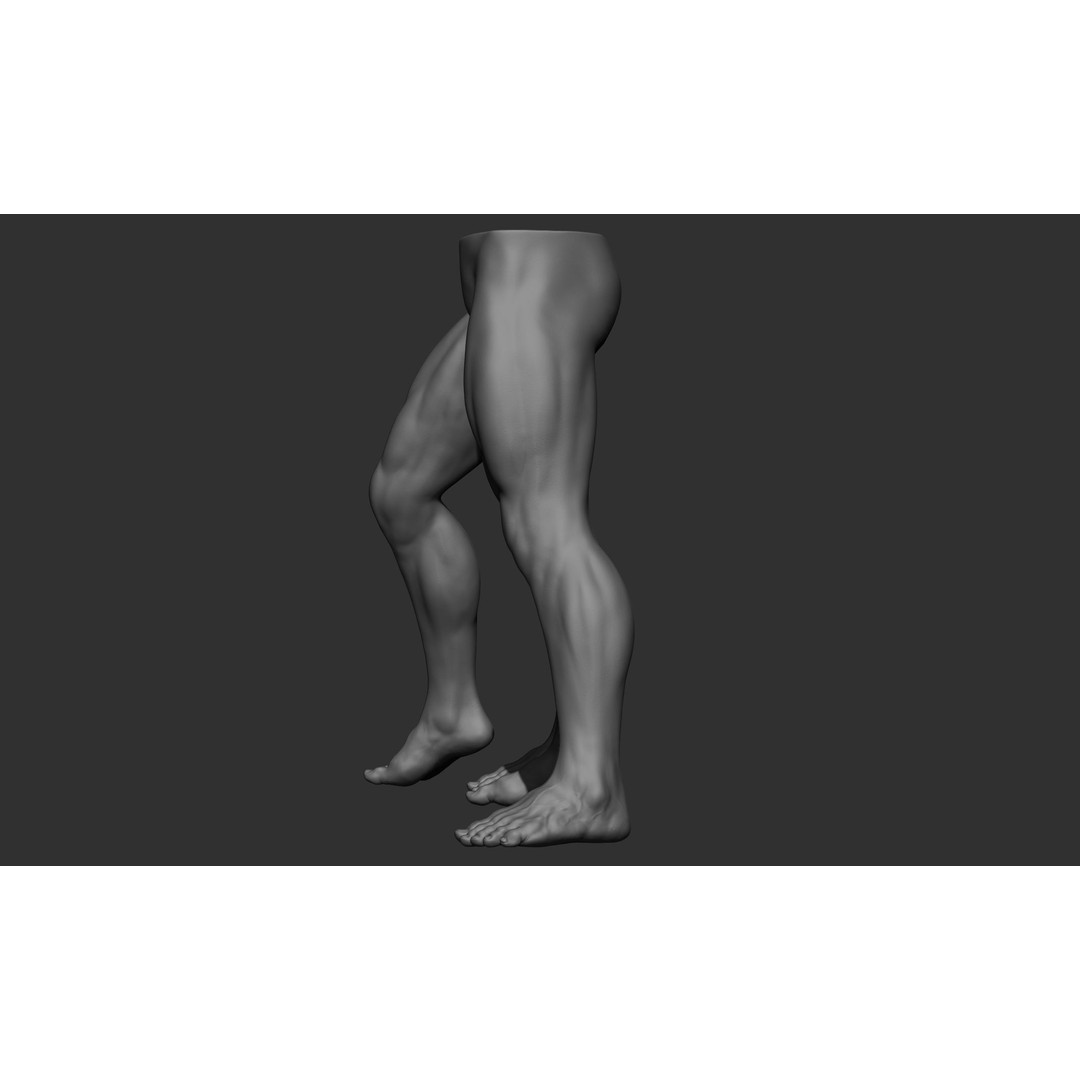 Male Leg Poses 3D Model – Realistic Anatomy Collection, ZTL & OBJ Formats - View 73