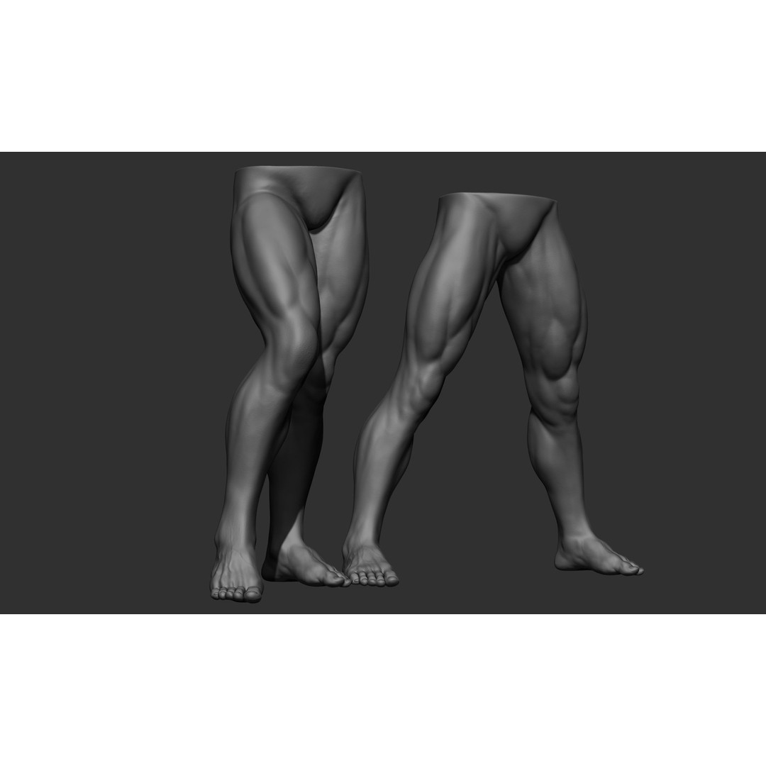 Male Leg Poses 3D Model – Realistic Anatomy Collection, ZTL & OBJ Formats - View 77