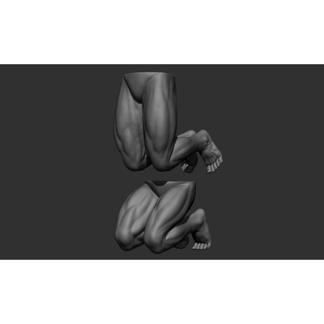 Male Leg Poses 3D Model – Realistic Anatomy Collection, ZTL & OBJ Formats - View 79
