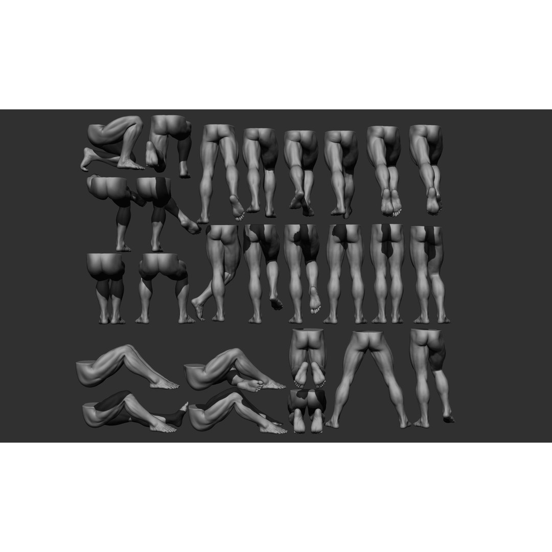 Male Leg Poses 3D Model – Realistic Anatomy Collection, ZTL & OBJ Formats - View 8