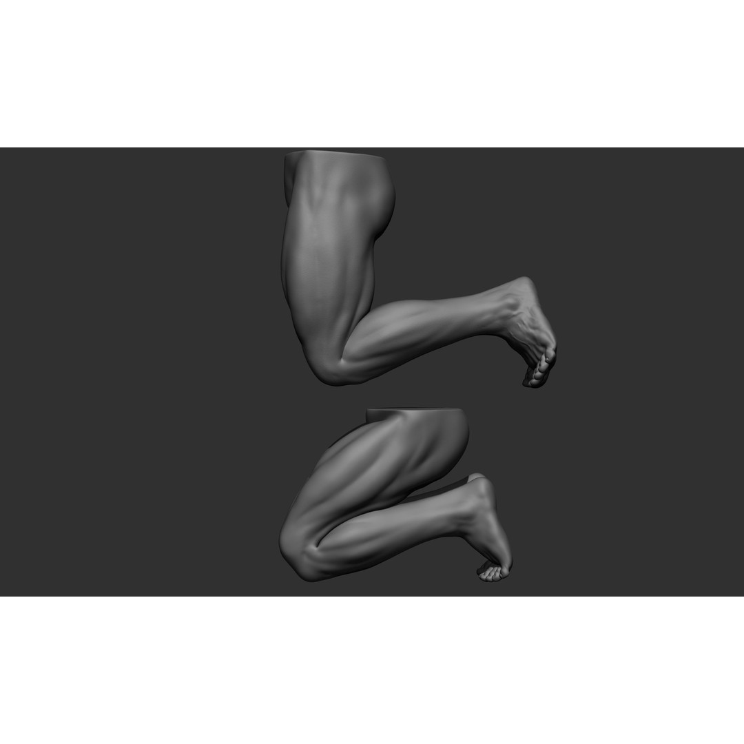 Male Leg Poses 3D Model – Realistic Anatomy Collection, ZTL & OBJ Formats - View 80
