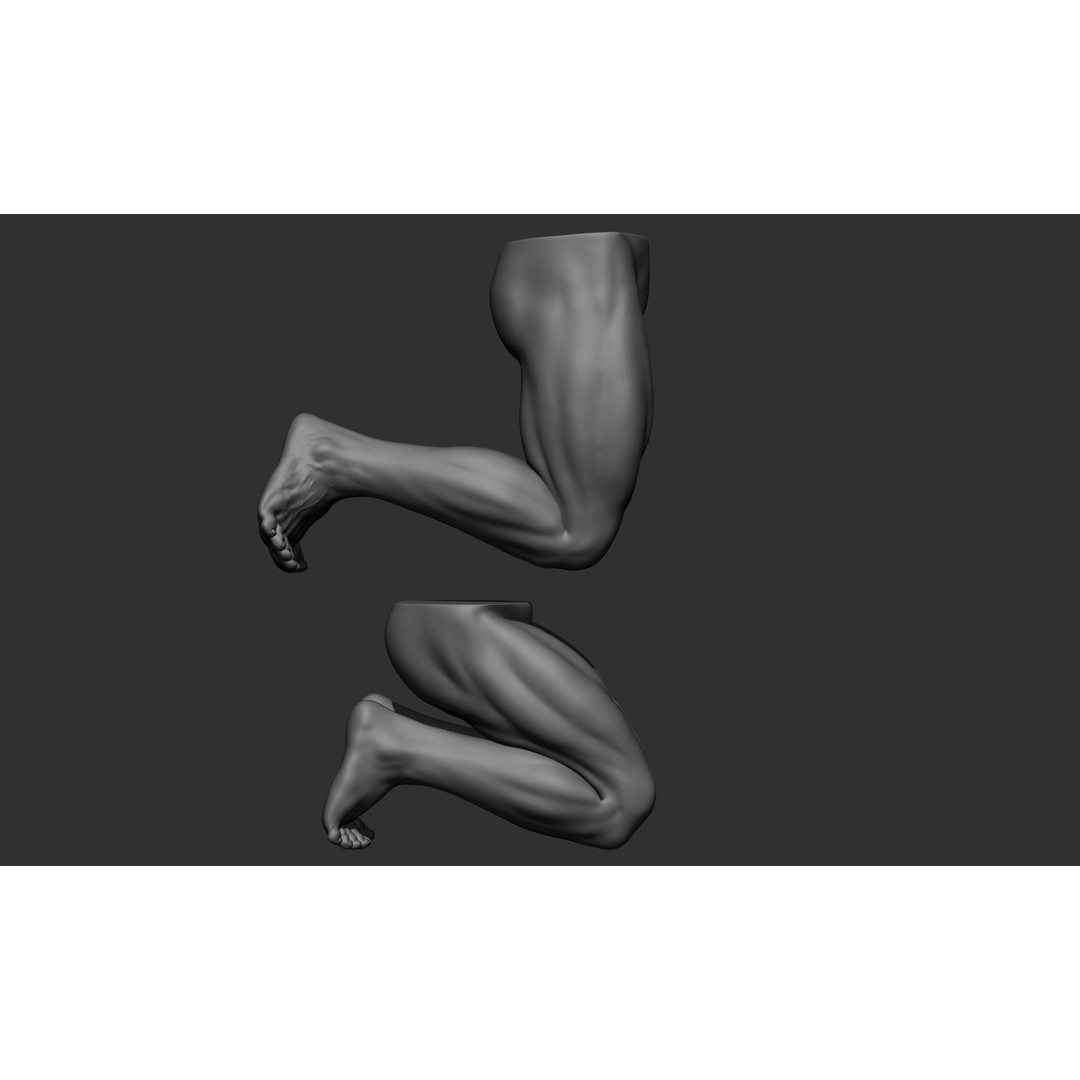 Male Leg Poses 3D Model – Realistic Anatomy Collection, ZTL & OBJ Formats - View 83