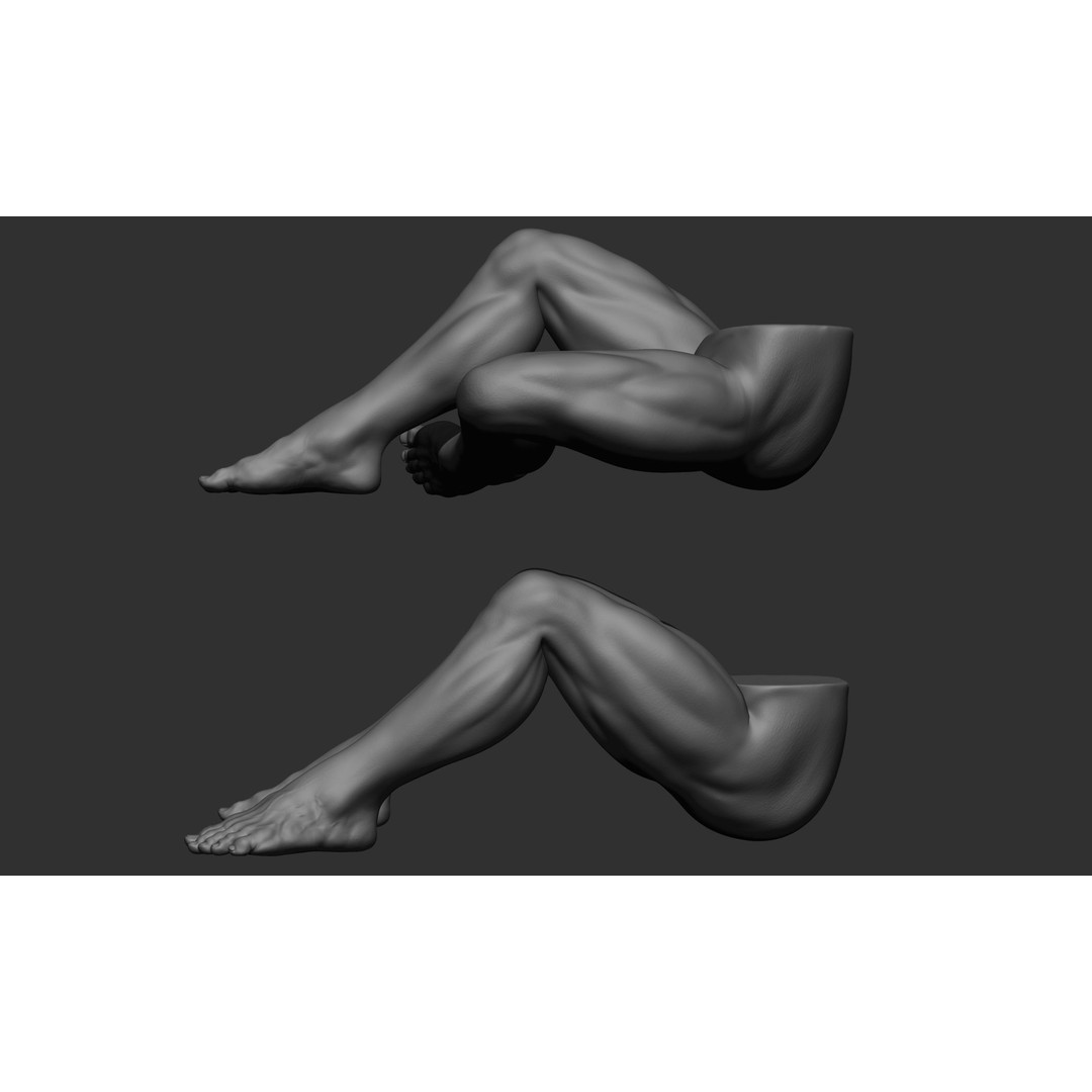 Male Leg Poses 3D Model – Realistic Anatomy Collection, ZTL & OBJ Formats - View 87