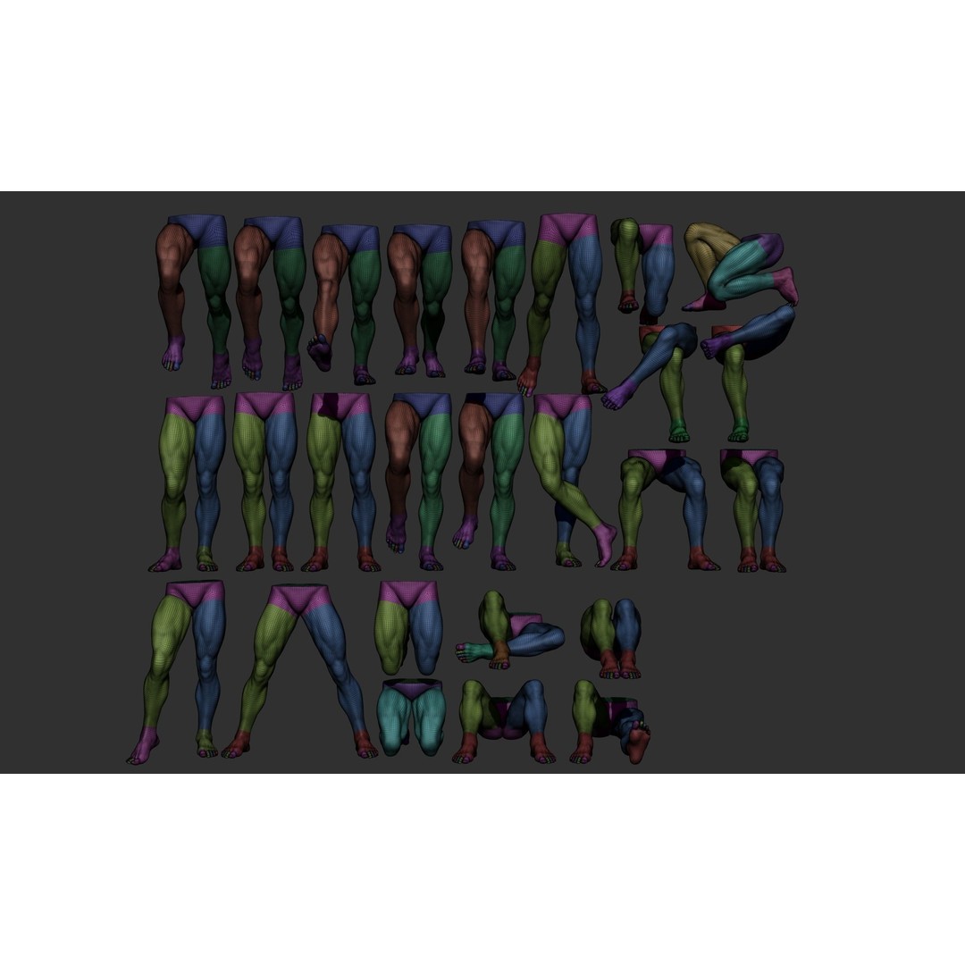 Male Leg Poses 3D Model – Realistic Anatomy Collection, ZTL & OBJ Formats - View 9